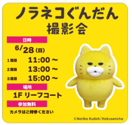 【6/28(日)】ノラネコぐんだん撮影会