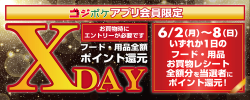 XDay -ポイント還元大抽選会-