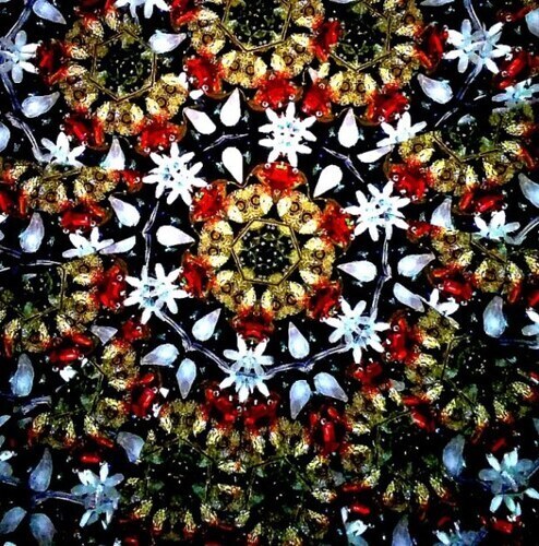万華鏡の画像２
