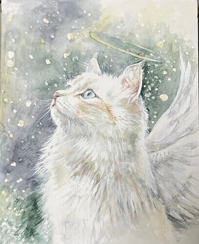 画像で楽しむ絵画教室作品２