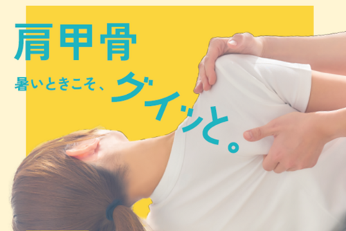 施術イメージ